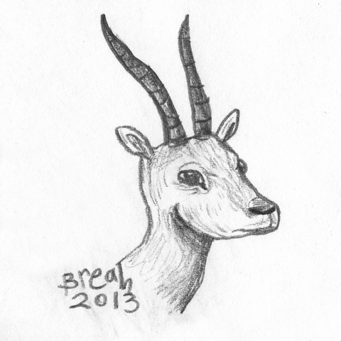 480x480 Impala Sketch Drawing Art By Breah - Impala Sketch