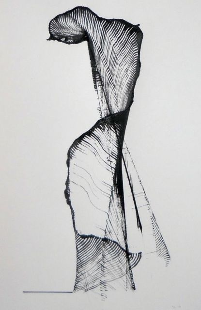 415x640 Original Drawing Ink Modern Contemporary Art Abstract Fast Sketch - Impressionism Sketch