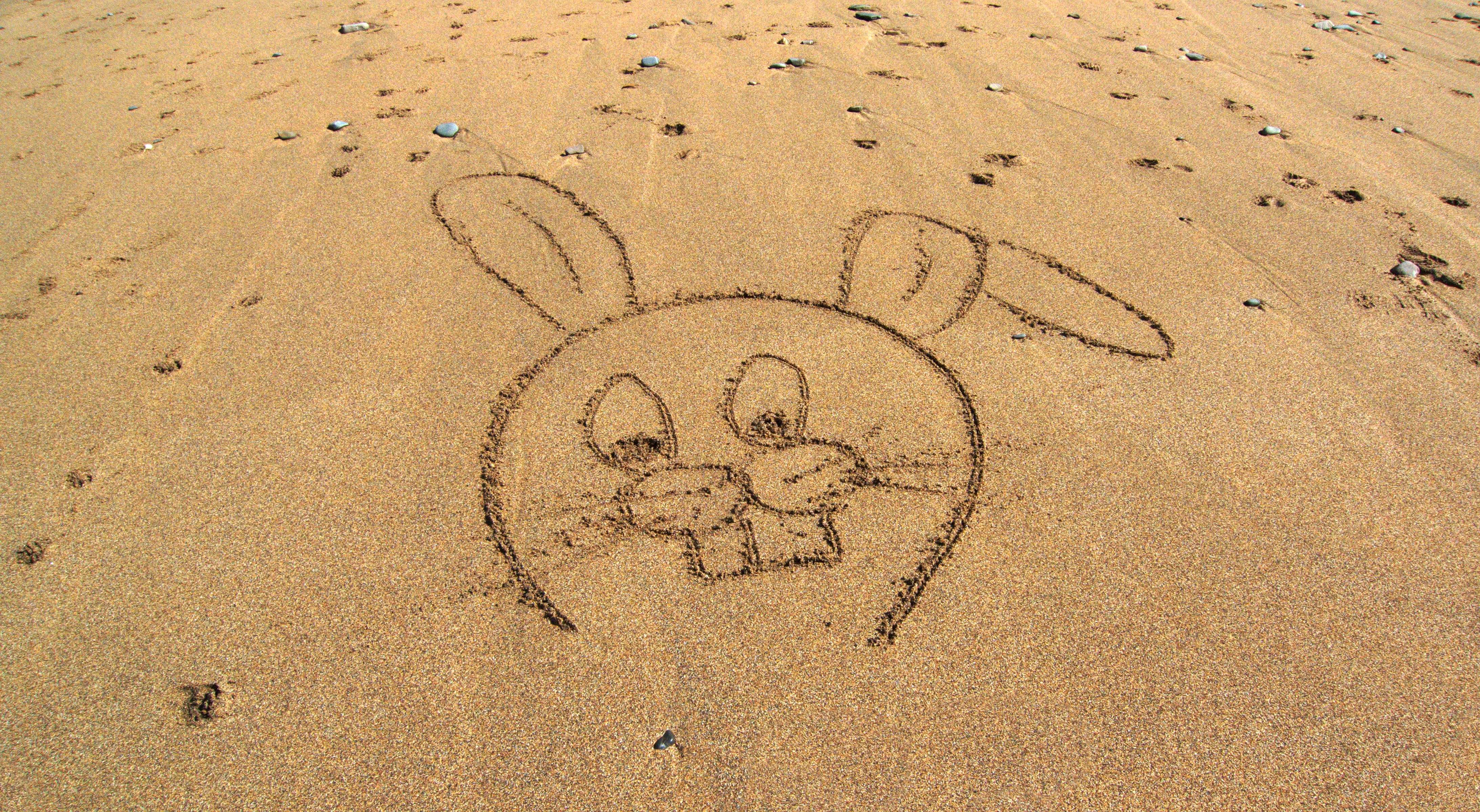 4372x2400 Free Images Beach, Sand, Outline, Footprint, Vacation, Seaside - Improvisation Sketch
