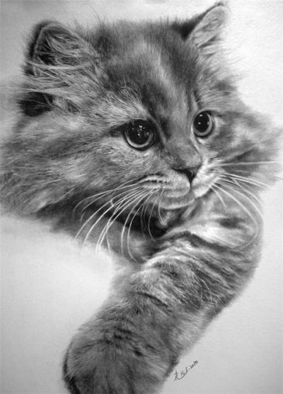 Incredible Sketches at PaintingValley.com | Explore collection of ...