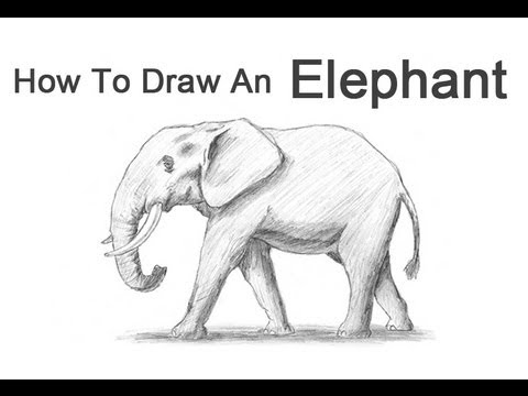 480x360 How To Draw An Elephant - Indian Elephant Sketch