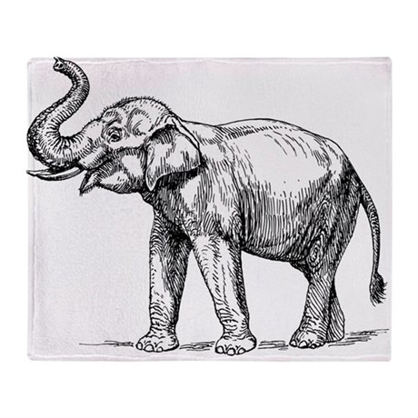 460x460 Indian Elephant Blankets - Indian Elephant Sketch