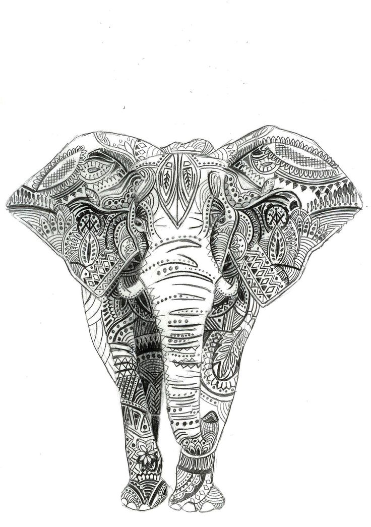 736x1045 Indian Elephant Sketch - Indian Elephant Sketch