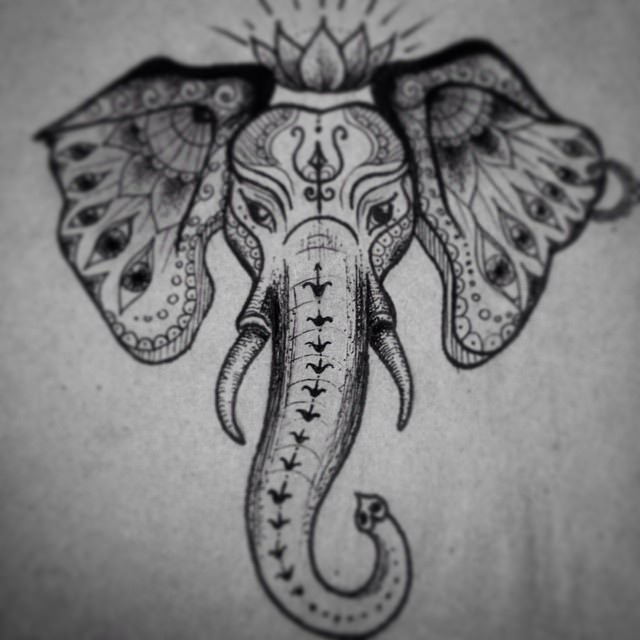 640x640 Indian Elephant Head Tattoo Sketch - Indian Elephant Sketch
