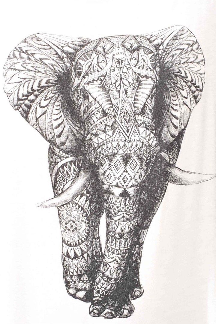 720x1080 Indian Elephant Tattoo - Indian Elephant Sketch
