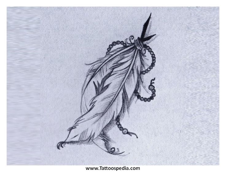 736x562 Collection Of Native American Eagle And Feather Tattoos - Indian Feather Sketch