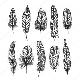 260x260 Indian Feather Clipart - Indian Feather Sketch