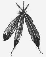 162x201 Native American Indian Spiritual Freedom In Prison - Indian Feather Sketch