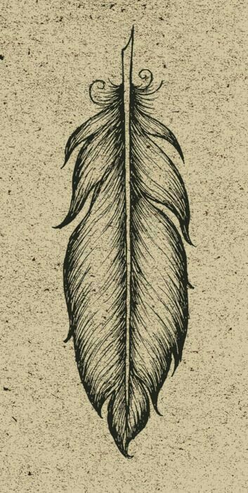 353x700 Pin By Heather Kokinchak On Tattoo Ideas In 2018 - Indian Feather Sketch
