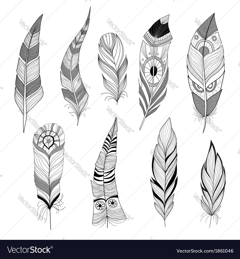 1000x1080 Pin By Telanie Merwe On Feathers Lt3 Feather Vector - Indian Feather Sketch