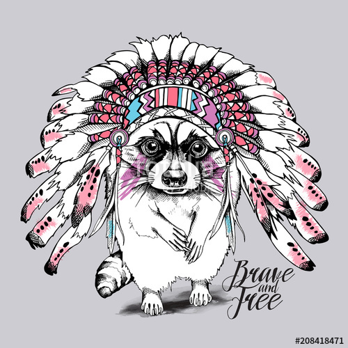 500x500 Sketch Cartoon Raccoon In A Indian Feather Headdress On A Gray - Indian Feather Sketch