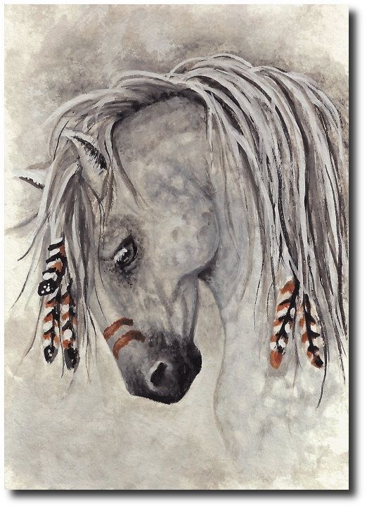 Indian Horse Sketch