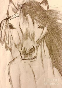 212x300 Indian Horse Drawings - Indian Horse Sketch