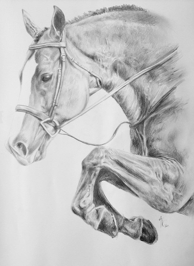 656x900 Indian Horse Pencil Drawings - Indian Horse Sketch