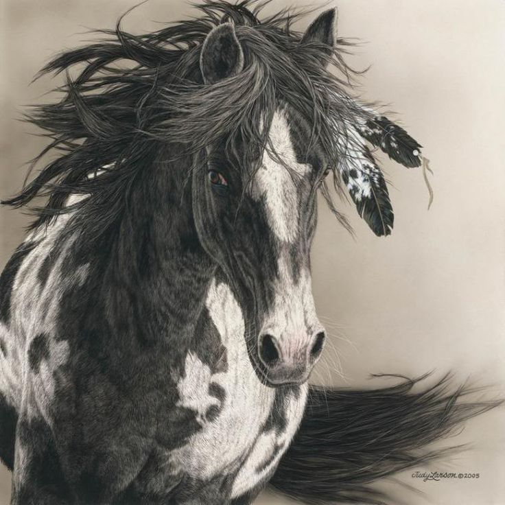 736x736 Indian Horse Paintings - Indian Horse Sketch