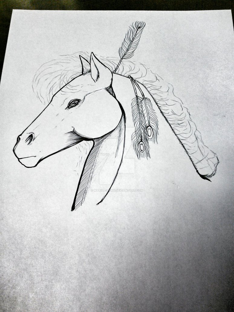774x1032 Indian Horse Sketch By Marill Lynn - Indian Horse Sketch
