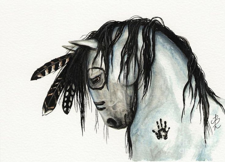 736x530 Pin By Linda Steele On Indian Pony Horses, Horse - Indian Horse Sketch