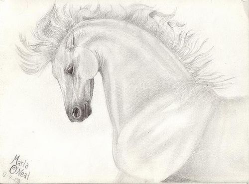 500x371 Pix For Gt Easy Indian Horse Drawing Art Horse - Indian Horse Sketch