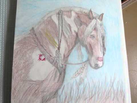480x360 Indian Horse Drawing - Indian Horse Sketch