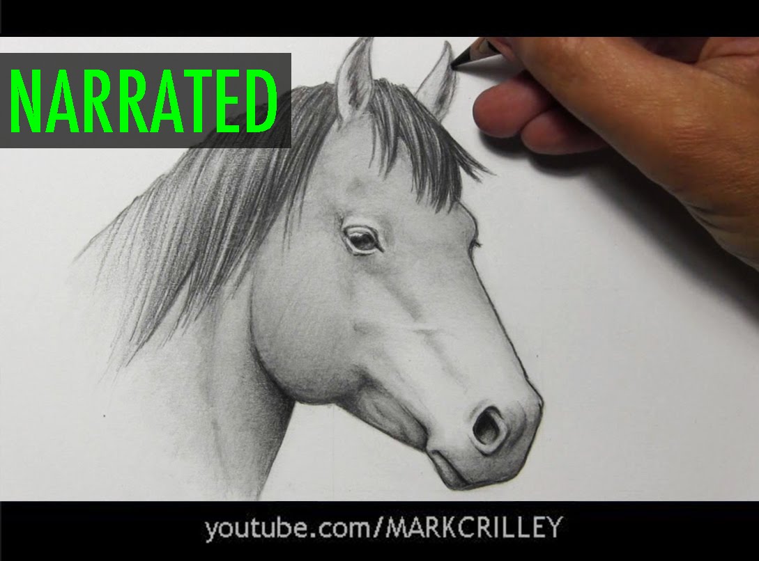 1089x806 How To Draw A Horse [Narrated Step By Step] - Indian Horse Sketch