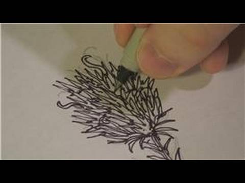 480x360 Drawing Lessons How To Draw Indian Paintbrush Flowers - Indian Paintbrush Sketch