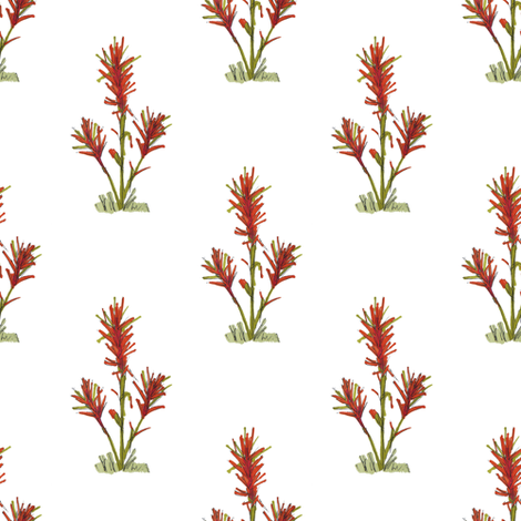 470x470 Indian Paintbrush Fabric - Indian Paintbrush Sketch