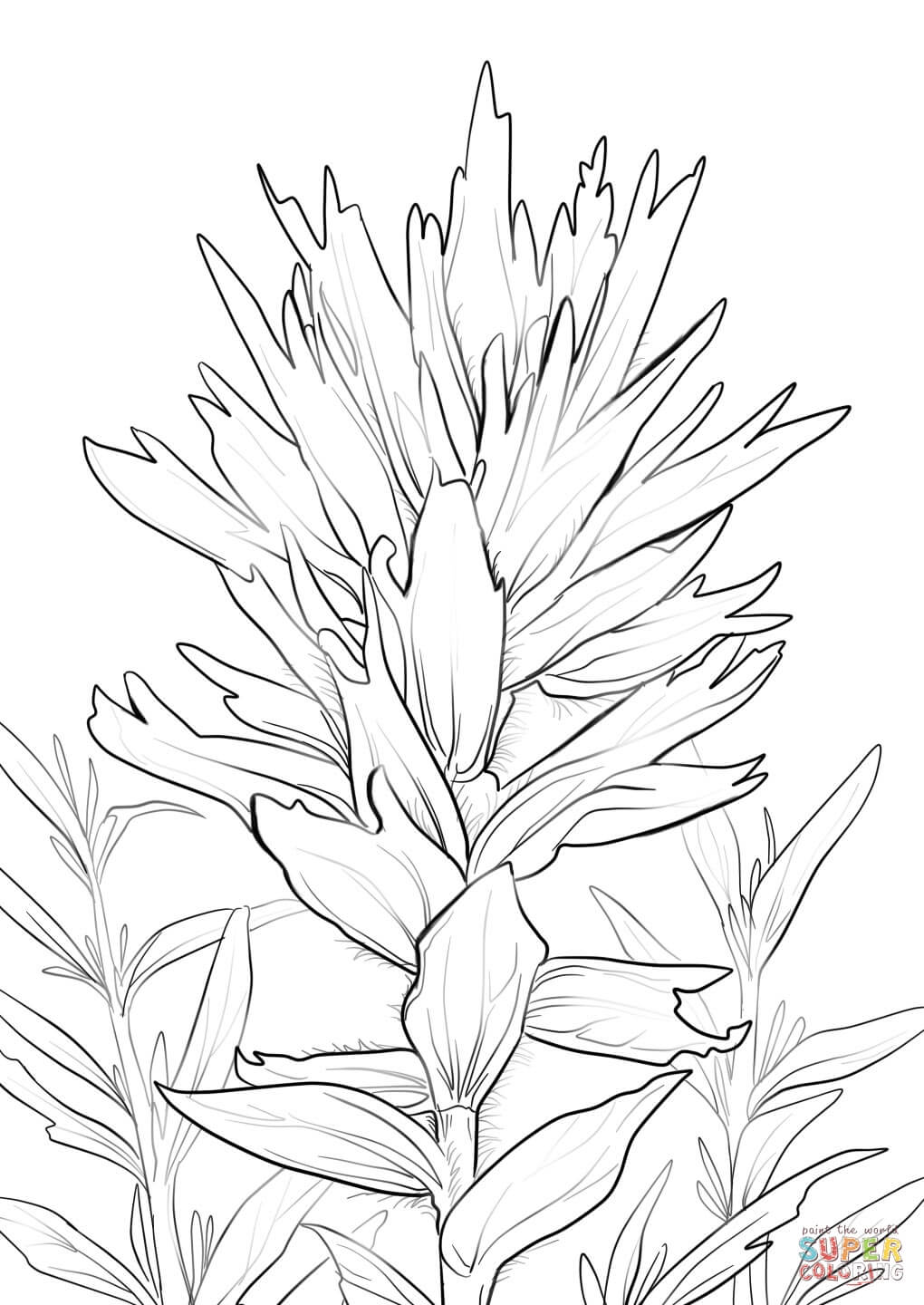1020x1440 It S Here Paint Brush Coloring - Indian Paintbrush Sketch