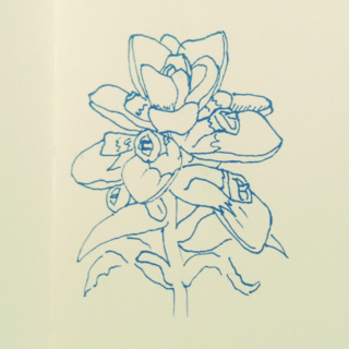 320x320 Any Song Recommendations Drawing Is Of An Indian Paintbrush - Indian Paintbrush Sketch