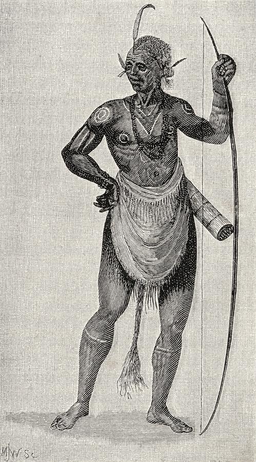 499x900 Indian Warrior Of North Carolina In Drawing By Vintage Design Pics - Indian Warrior Sketch