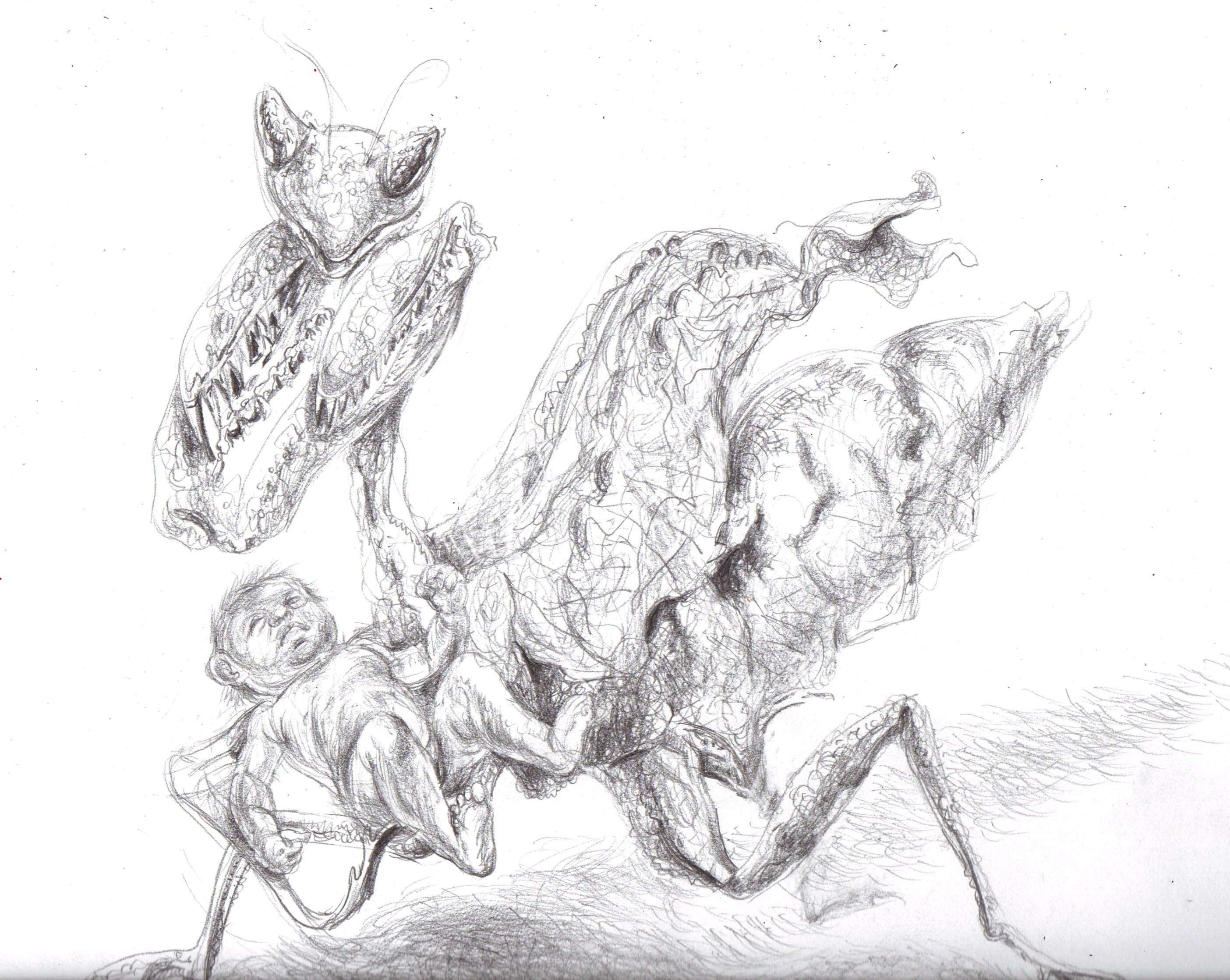 2808x2236 Insect Mothering A Newborn Infant A Sketch In Pencil - Infant Sketch