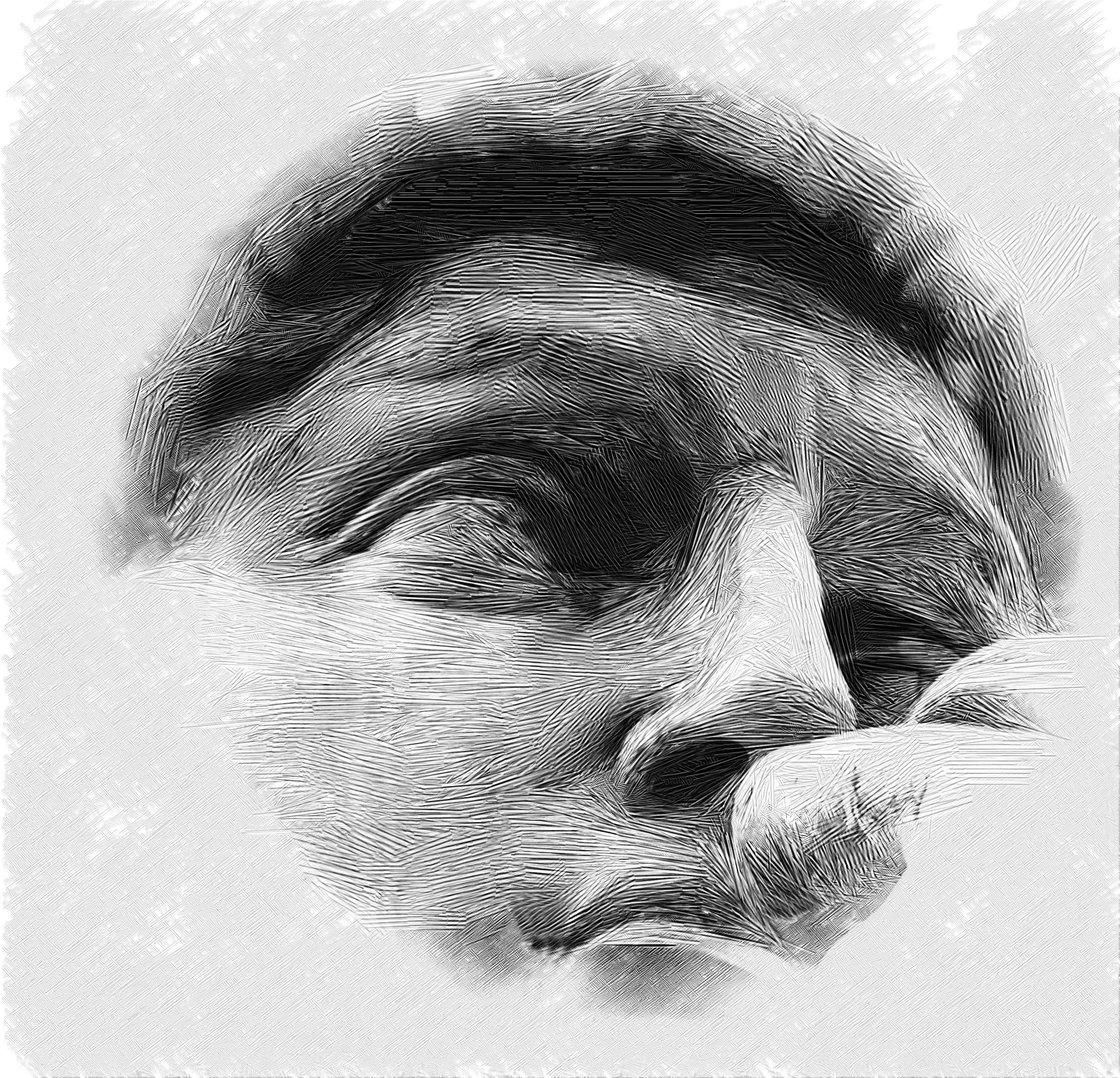 2535x2440 Pen And Ink - Ink Sketches