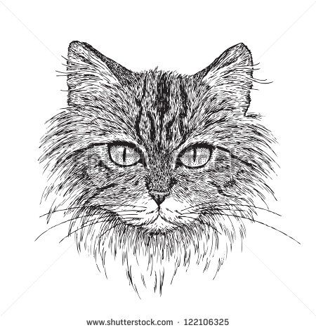 450x470 Simple Pen And Ink Drawings Easy Pen And Ink Drawings Of Animals - Ink Sketches