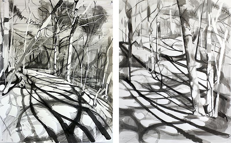 800x497 Ink Drawings Of Trees Lee Deigaard - Ink Tree Sketch