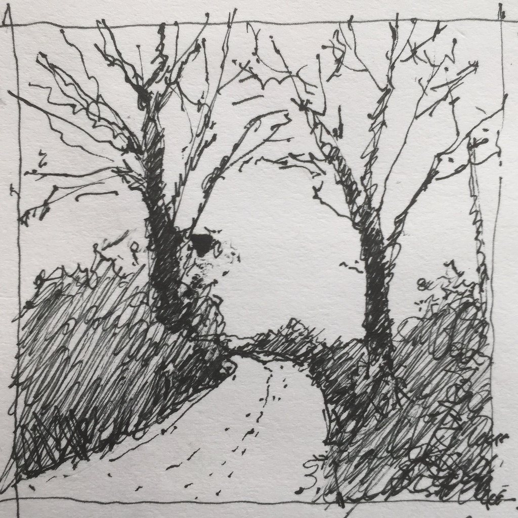 1024x1024 Two Trees Road Pen And Ink Sketch Andy Wisnoski - Ink Tree Sketch