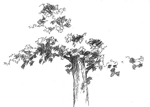 Ink Tree Sketch at PaintingValley.com | Explore collection of Ink Tree ...