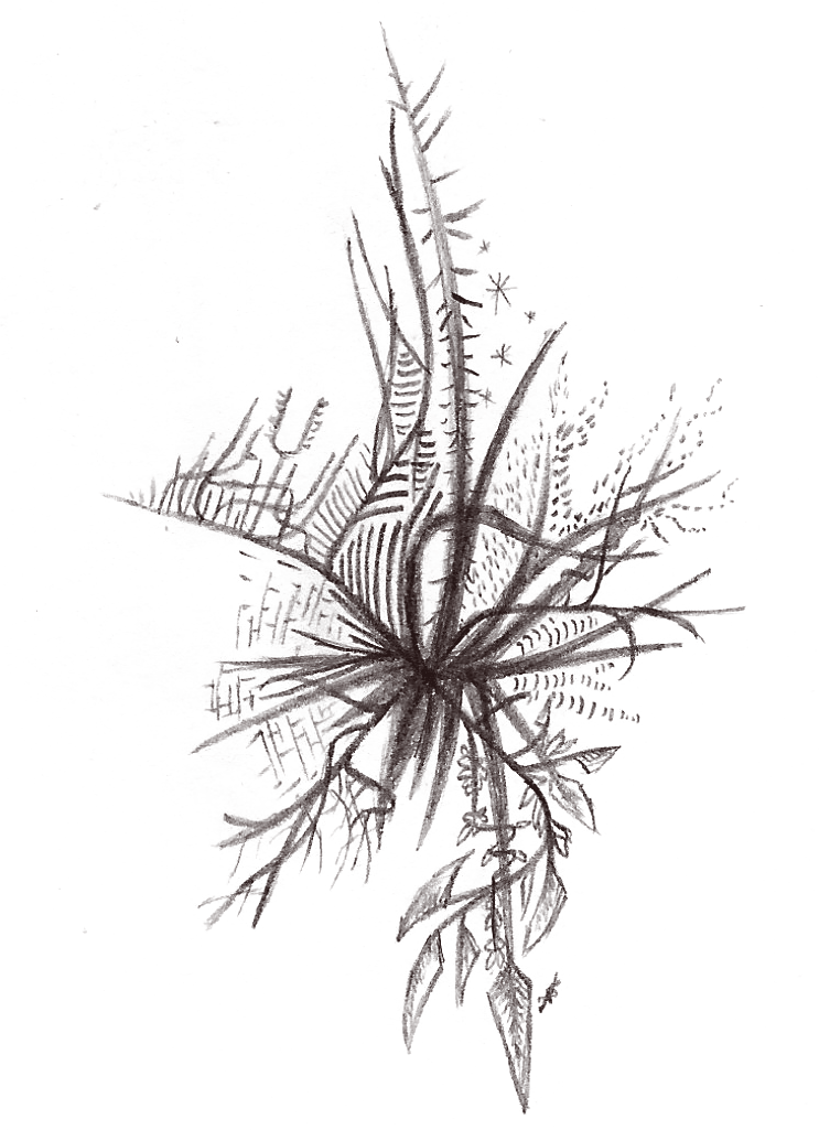 743x1025 Old Sketches On Behance - Interesting Sketches