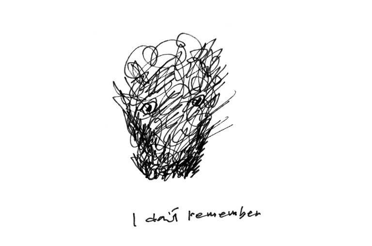 768x507 The Illustrated Interview - Interview Sketch