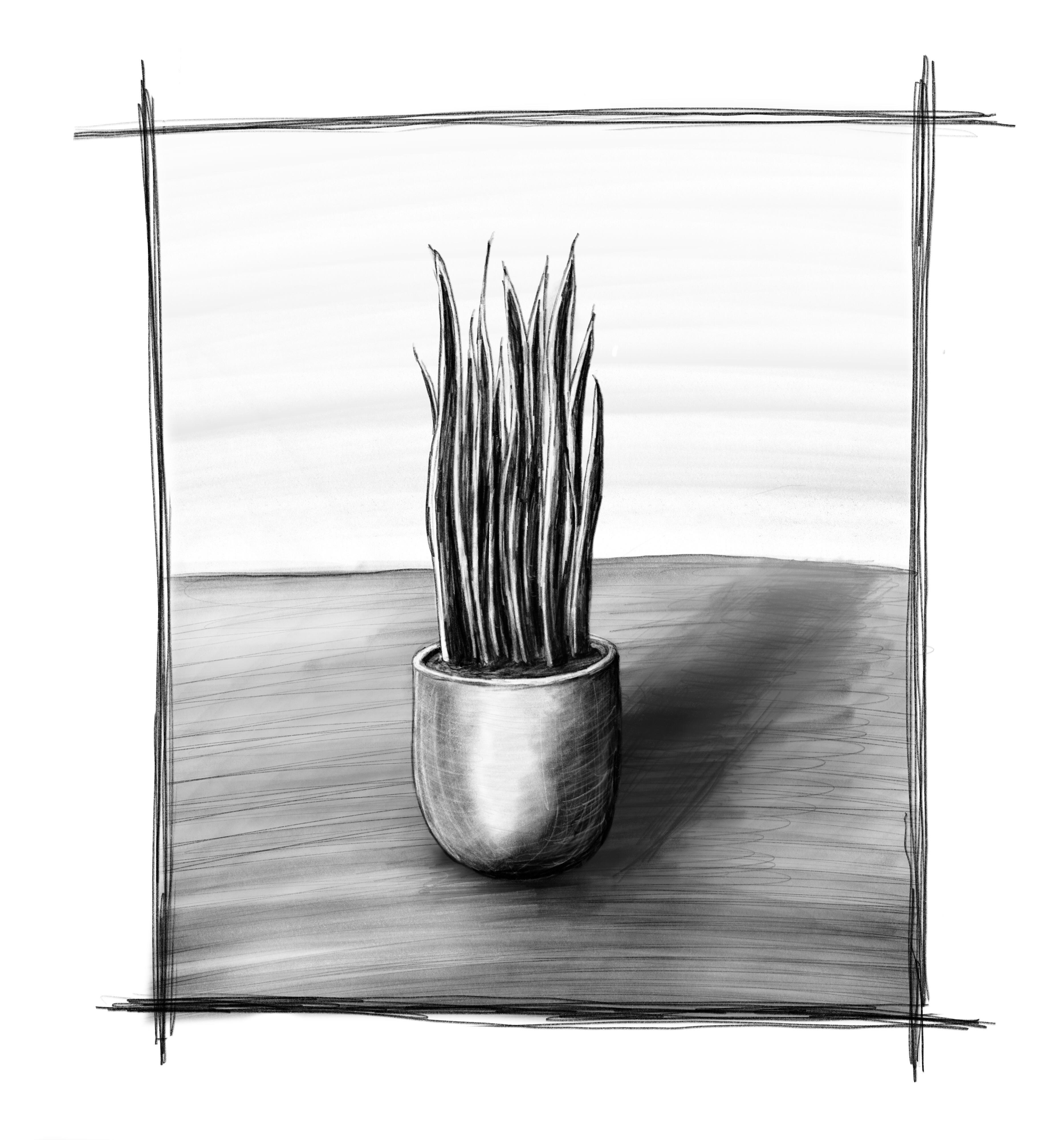 3733x4000 My First Sketch On An Ipad. The Pencil And Procreate Is Seriously - Ipad Sketch