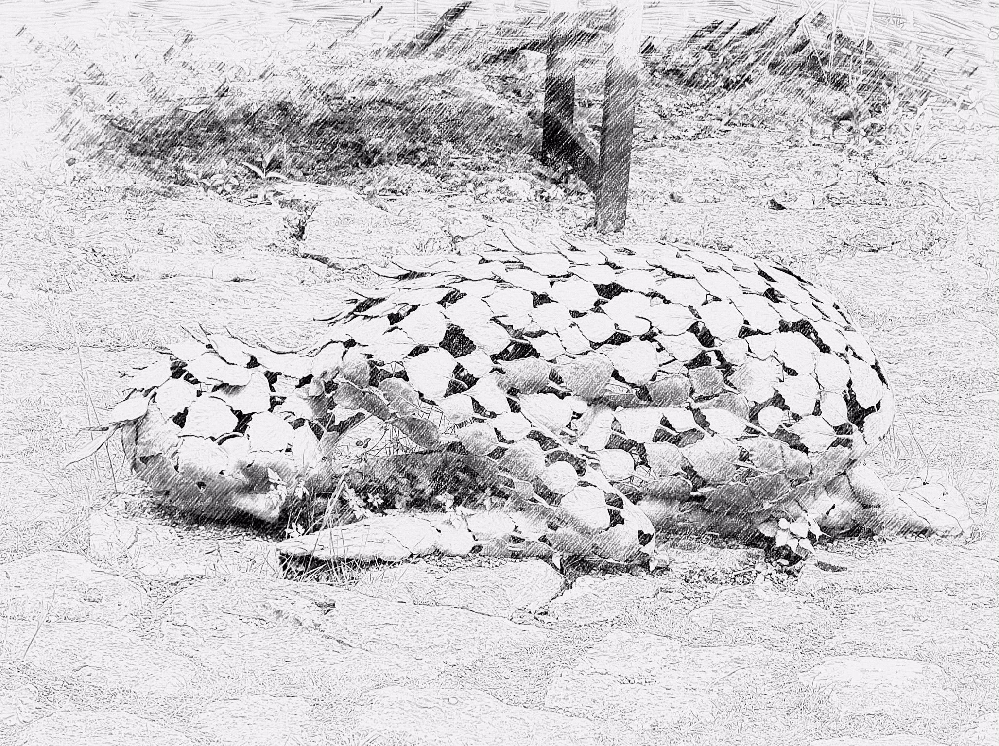 2056x1536 Ireland Statue Sketch Cool Sketches And Dragon Statue - Ireland Sketch