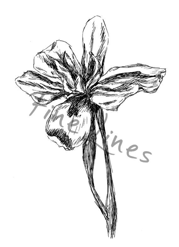 570x787 Iris Flower Sketch Black And White Flower Print Printable Etsy - Iris Flower Sketch