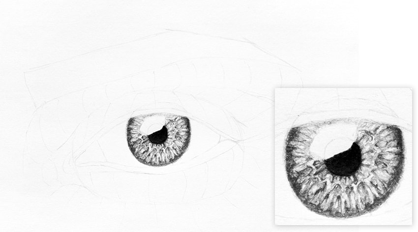 850x472 How To Draw A Realistic Eye - Iris Sketch