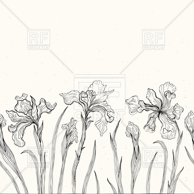 400x400 Sketch Of Flowers Iris Vector Image Vector Artwork Of Objects - Iris Sketch