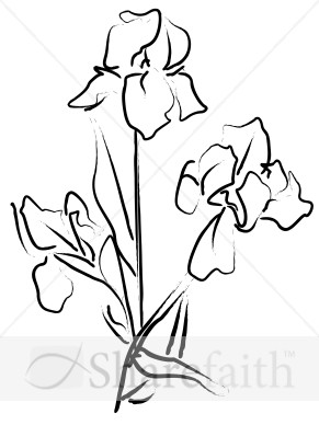 291x388 Elegant Iris Sketch Church Flower Clipart - Iris Sketch