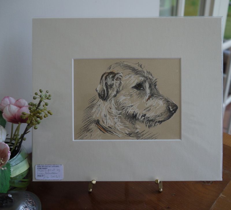 800x727 Irish Wolfhound - Irish Wolfhound Sketch