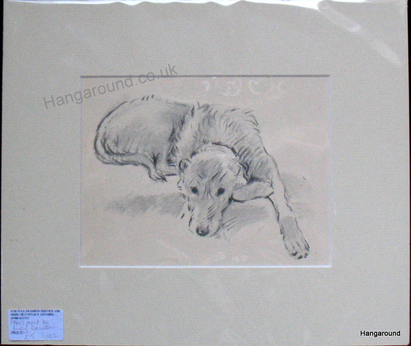 800x675 Irish Wolfhound - Irish Wolfhound Sketch