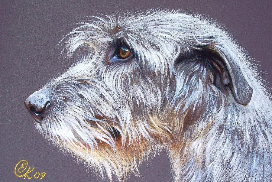 900x602 Irish Wolfhound Drawings Fine Art America - Irish Wolfhound Sketch