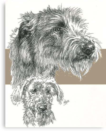 Irish Wolfhound Sketch at PaintingValley.com | Explore collection of ...