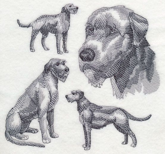 555x520 Irish Wolfhound Sketch Design (M2970) From - Irish Wolfhound Sketch