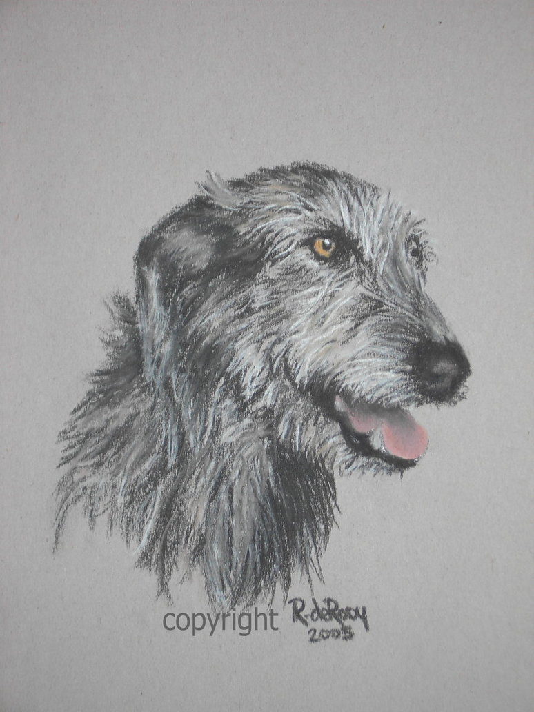 774x1032 Irish Wolfhound Sketch By Furryontheinside - Irish Wolfhound Sketch