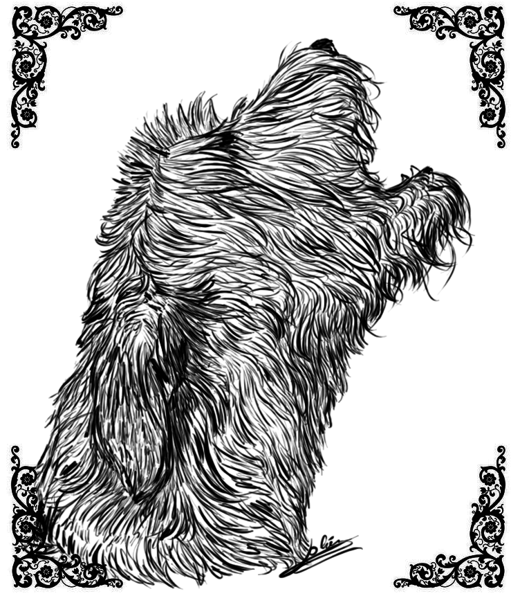 739x861 Irish Wolfhound Sketch By Jian89 - Irish Wolfhound Sketch